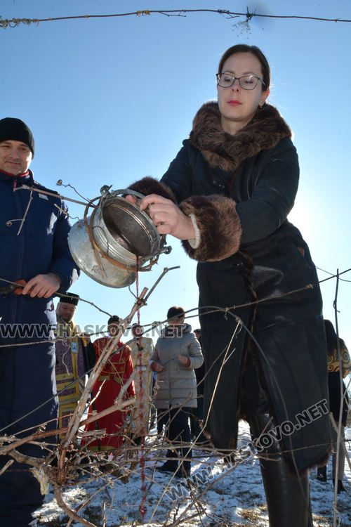 Зарязаха лозята в Харманли с водосвет, курбан и народни хора