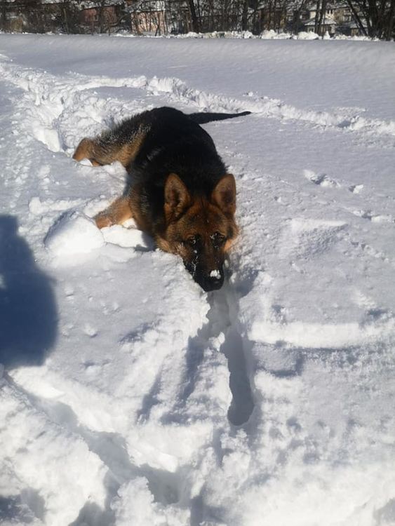  Забравихме ли? Зимата не е само проблеми, а берекет, хляб и щастливи спомени!  Вижте другата страна на зимата в галерията със снимки: Уловено от мрежата!