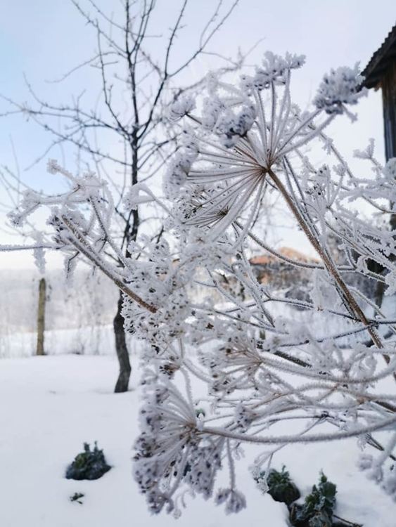  Забравихме ли? Зимата не е само проблеми, а берекет, хляб и щастливи спомени!  Вижте другата страна на зимата в галерията със снимки: Уловено от мрежата!