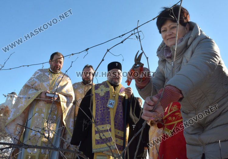 Зарязаха лозята в Харманли с водосвет, курбан и народни хора