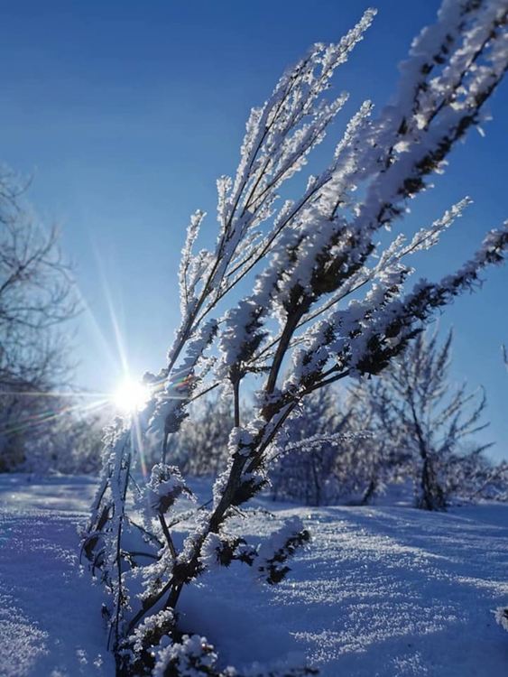  Забравихме ли? Зимата не е само проблеми, а берекет, хляб и щастливи спомени!  Вижте другата страна на зимата в галерията със снимки: Уловено от мрежата!