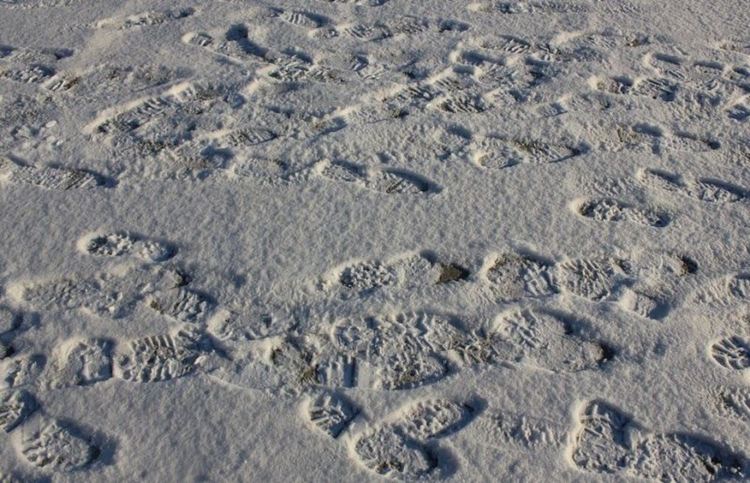 Днес за последно издирват бащата и сина, които се изгубиха в Стара планина