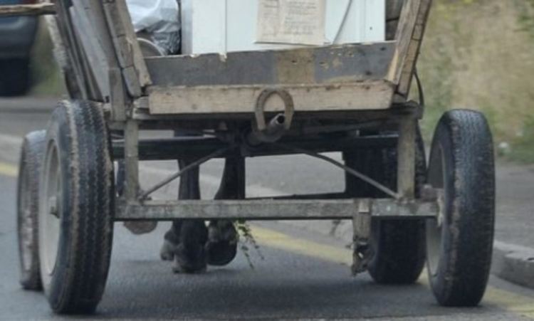 68-годишна жена с опасност за живота при катастрофа с каруца