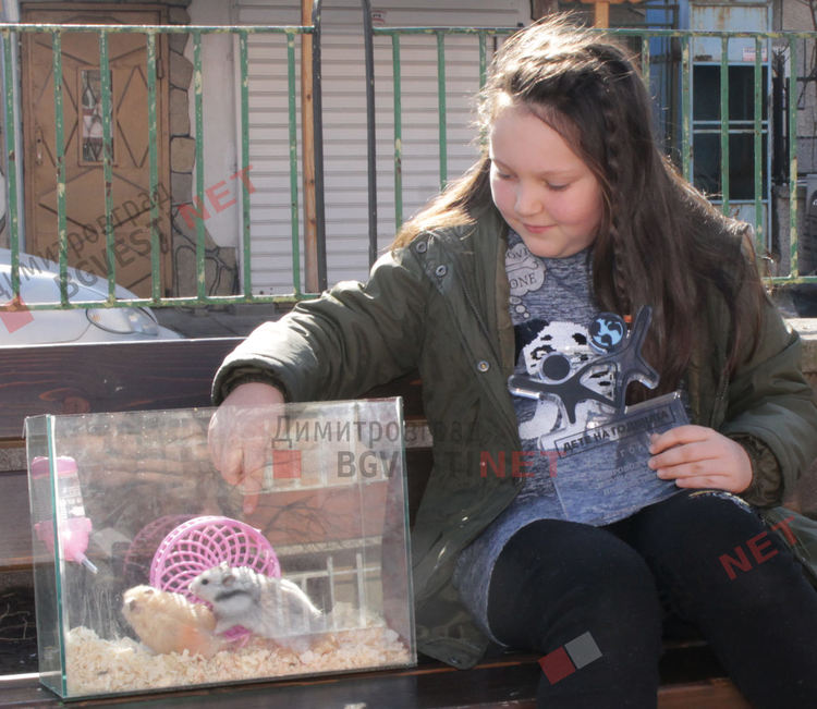 "Детето на годината" продаде хамстерите си в помощ на Михаела, но ще се грижи за тях докато Михаела оздравее