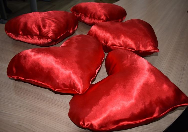 Младежка благотворителна акция за Свети Валентин в подкрепа на 7-годишния Дани