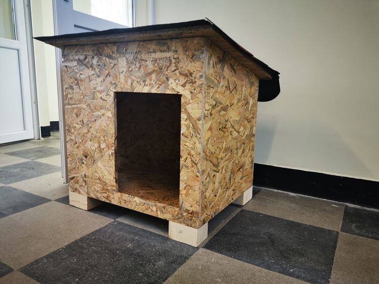 Започва разяснителна кампания за отглеждане и регистрация на кучета, правят 20 къщички