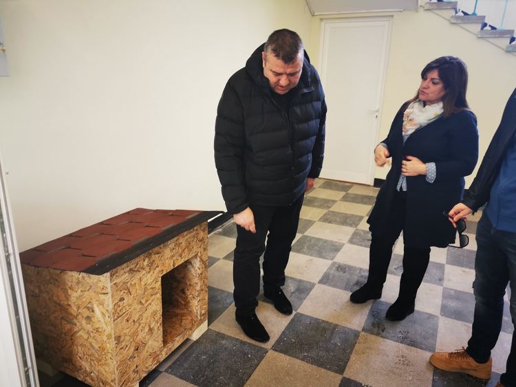 Започва разяснителна кампания за отглеждане и регистрация на кучета, правят 20 къщички
