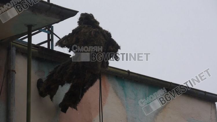 Студът и снегът "морят" щатските снайперисти, нашите- безпогрешни