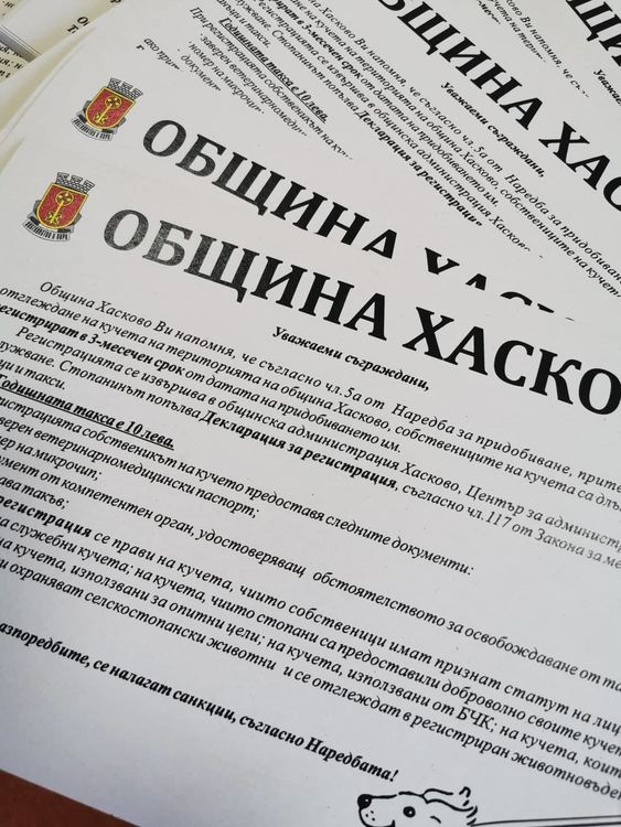 Започва разяснителна кампания за отглеждане и регистрация на кучета, правят 20 къщички