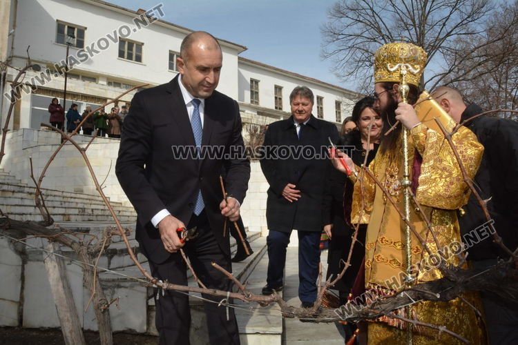 Президентът Радев заряза лозята в Ивайловградско, отпускат 8 млн. лв. за вила "Армира"