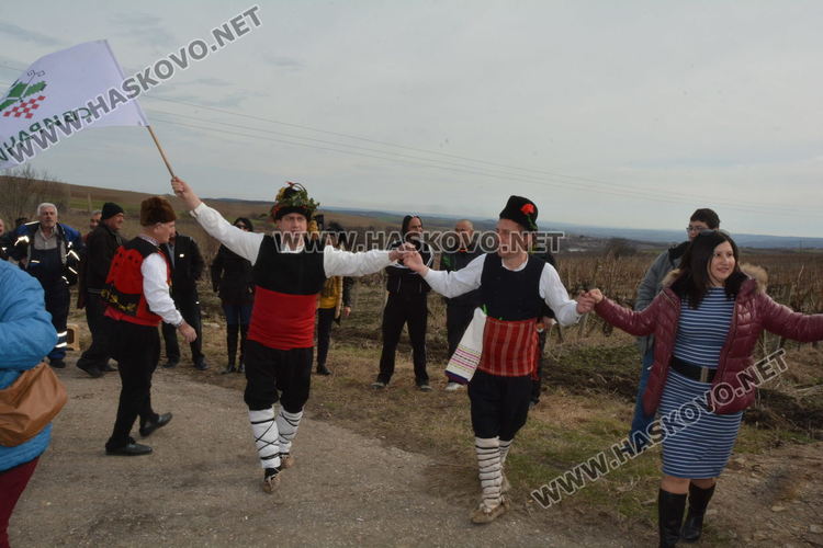 Президентът Радев заряза лозята в Ивайловградско, отпускат 8 млн. лв. за вила "Армира"