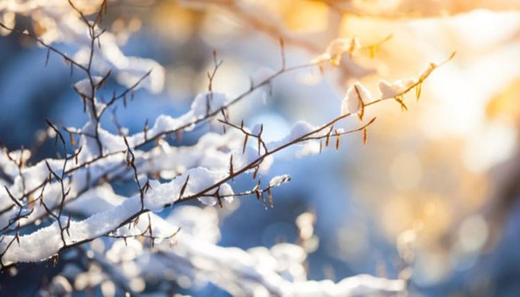 Облачно, но топло за февруари