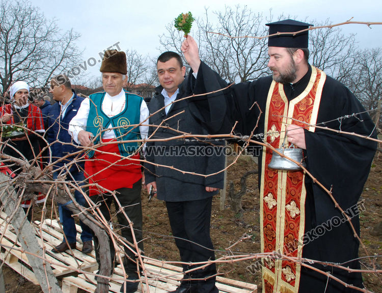 Лозарите от Стамболово се надяват на добра реколта тази година