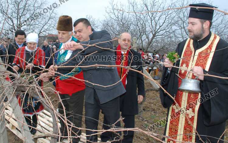 Лозарите от Стамболово се надяват на добра реколта тази година