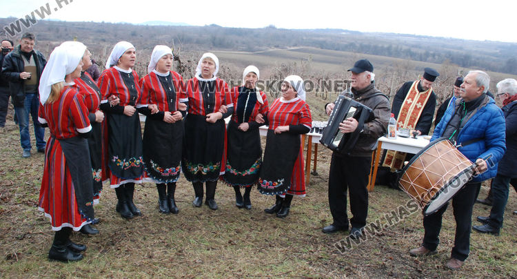 Лозарите от Стамболово се надяват на добра реколта тази година