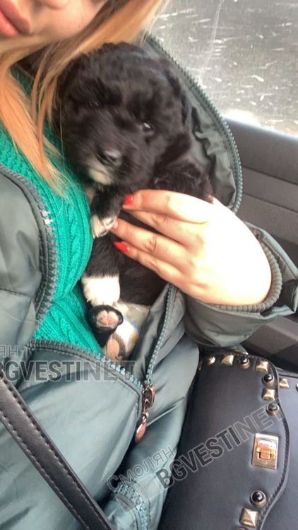 Те са тези дето хранят „помиярите“ в квартала. И няма да спрат да го правят  