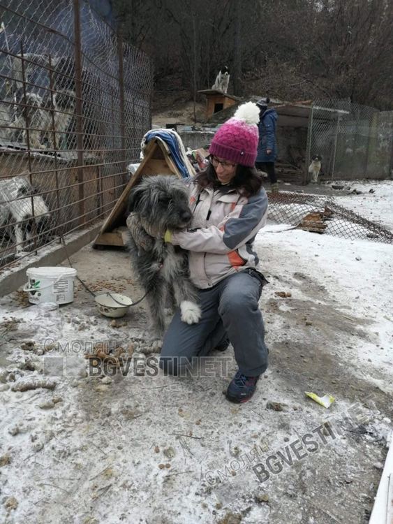 Те са тези дето хранят „помиярите“ в квартала. И няма да спрат да го правят  