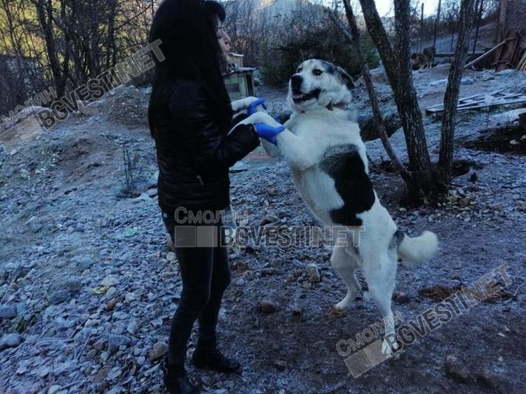 Те са тези дето хранят „помиярите“ в квартала. И няма да спрат да го правят  