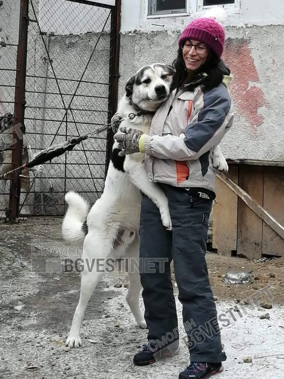 Те са тези дето хранят „помиярите“ в квартала. И няма да спрат да го правят  