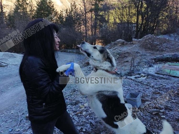 Те са тези дето хранят „помиярите“ в квартала. И няма да спрат да го правят  