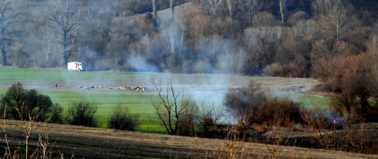 Пожар в широколистна гора  край Конуш