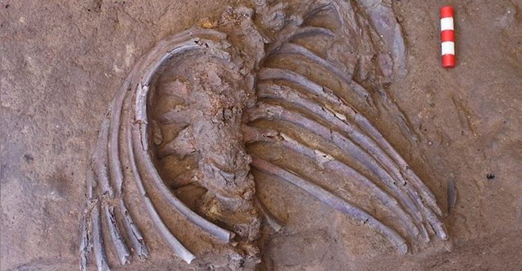 Откриха неандерталец на 70 хил. години в пещерата Шанидар (видео)