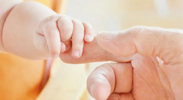 По 4 500 лв. за ин витро за две двойки от Хасковска област