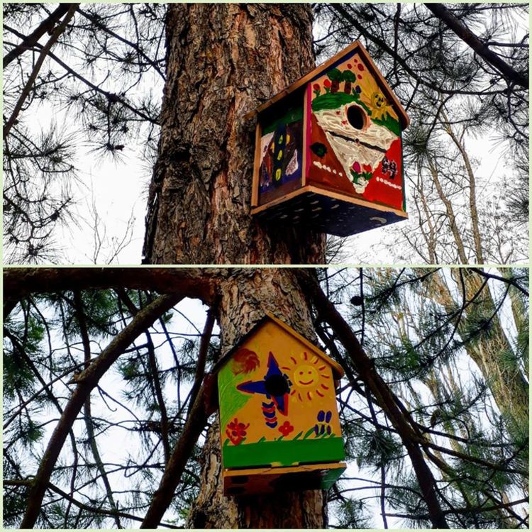 Зрънце любов за птиците от деца и ученици в община Крумовград