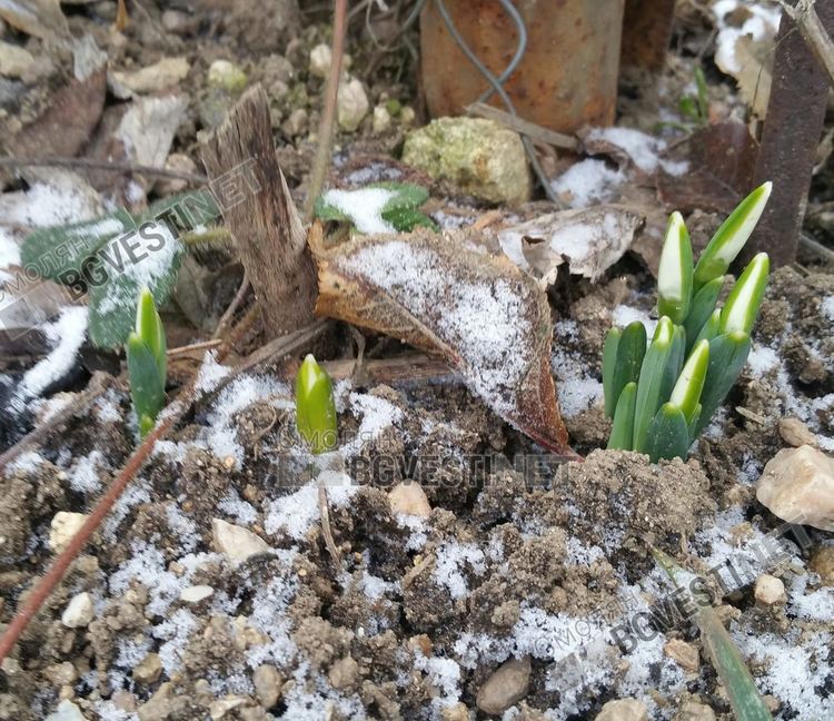 Студена събота, пролетна неделя