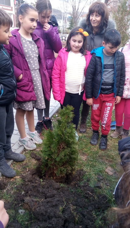 Ученици от Кърджали засадиха Дърво на доброто