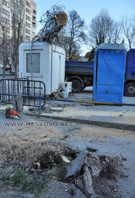 Топола се стовари върху кабинка на паркинг