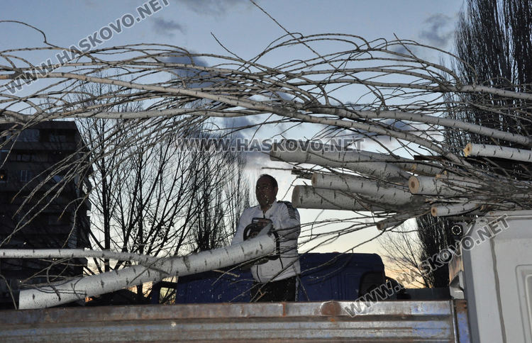 Топола се стовари върху кабинка на паркинг