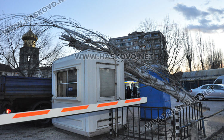 Топола се стовари върху кабинка на паркинг