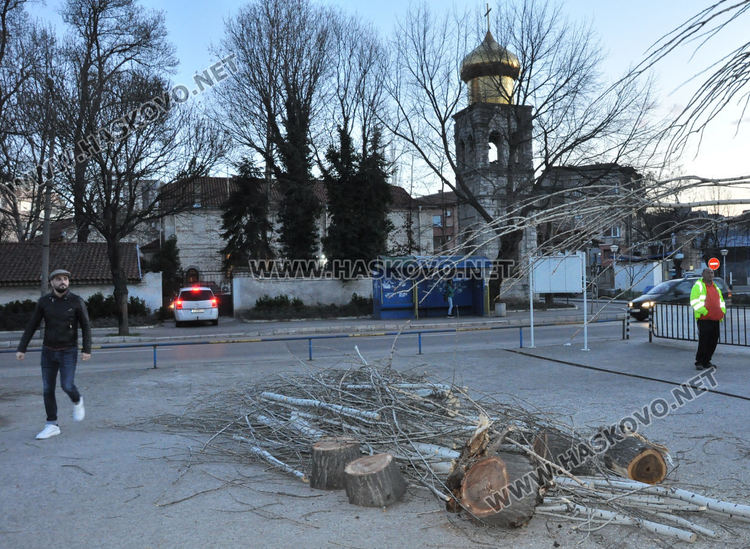 Топола се стовари върху кабинка на паркинг