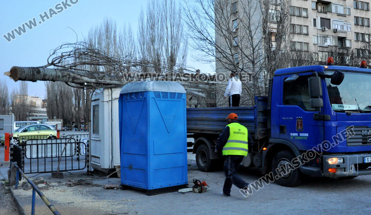 Топола се стовари върху кабинка на паркинг