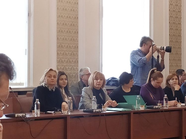 Мая Манолова: Предстои увеличение на тока със 7 лева на мегаватчас 