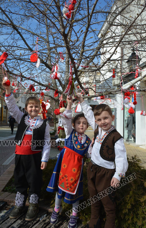 Дърветата по централните улици на Хасково са в бяло и червено