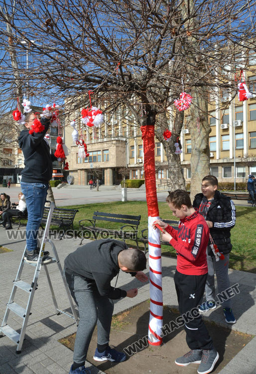 Дърветата по централните улици на Хасково са в бяло и червено