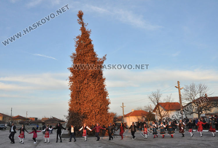 18-метрова клада в с. Добрич изгоря на Сирни Заговезни за здраве