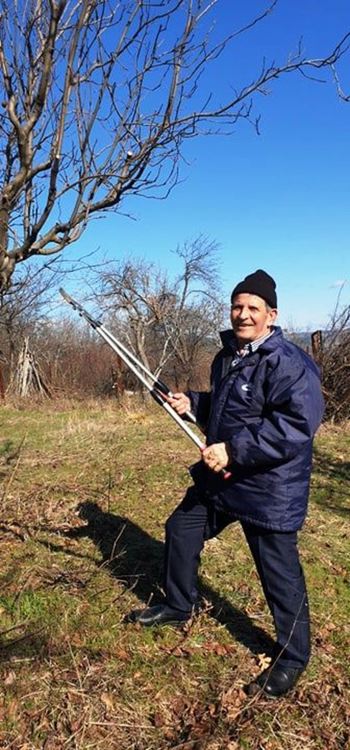 Бай Мурад от Боровица дойде от Бурса за традиционната резитба на плодните дръвчета