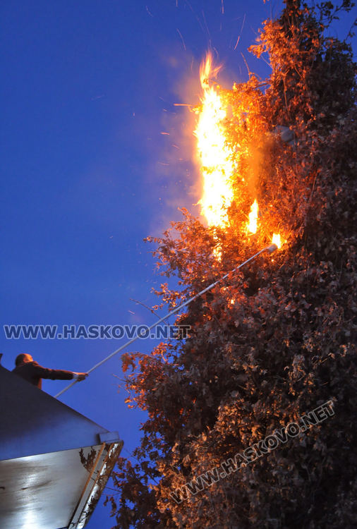 18-метрова клада в с. Добрич изгоря на Сирни Заговезни за здраве