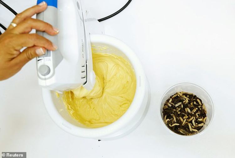 Учени опекоха торта, бисквити и вафли с масло от насекоми