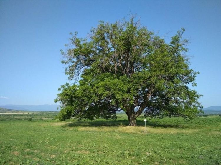 снимката е илюстративна