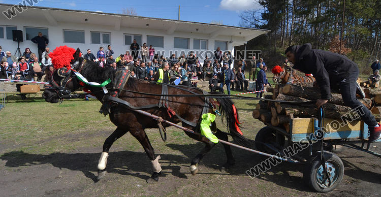Кушия в Бисер за Тодоровден, Цимент е най-красивият кон