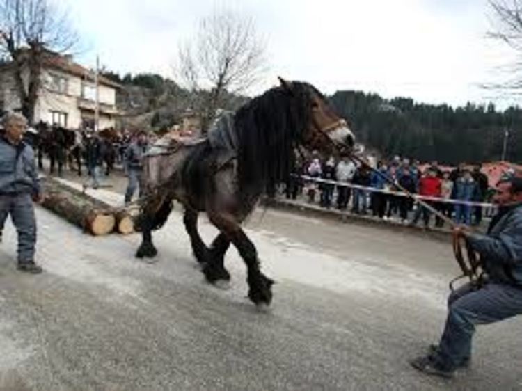 Тодорвден е! Кушии и веселби в цялата област.