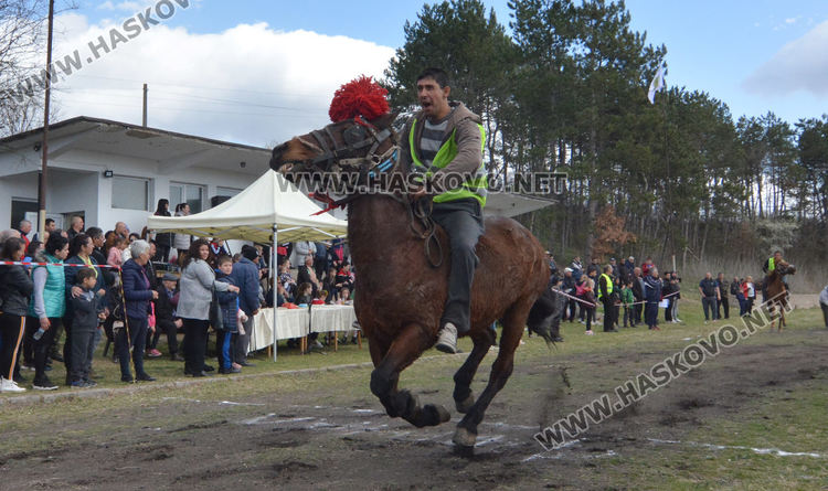 Кушия в Бисер за Тодоровден, Цимент е най-красивият кон