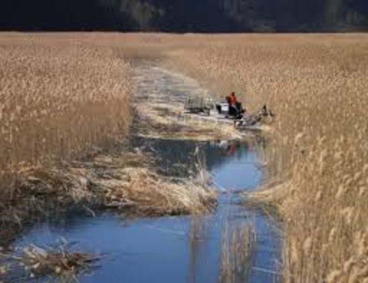  Институциите към златоградчани: Пробите от побелелите реки са в норма. Хората не им вярват и купуват вода от магазина 