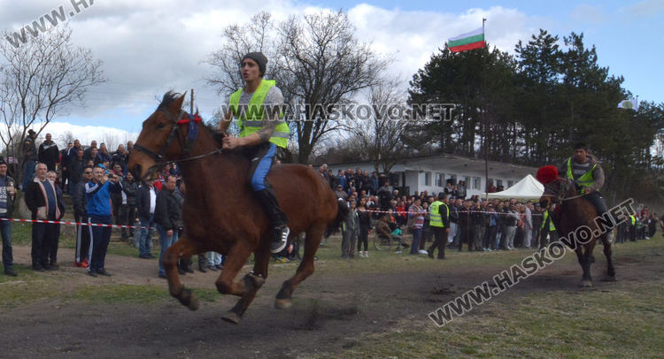 Кушия в Бисер за Тодоровден, Цимент е най-красивият кон