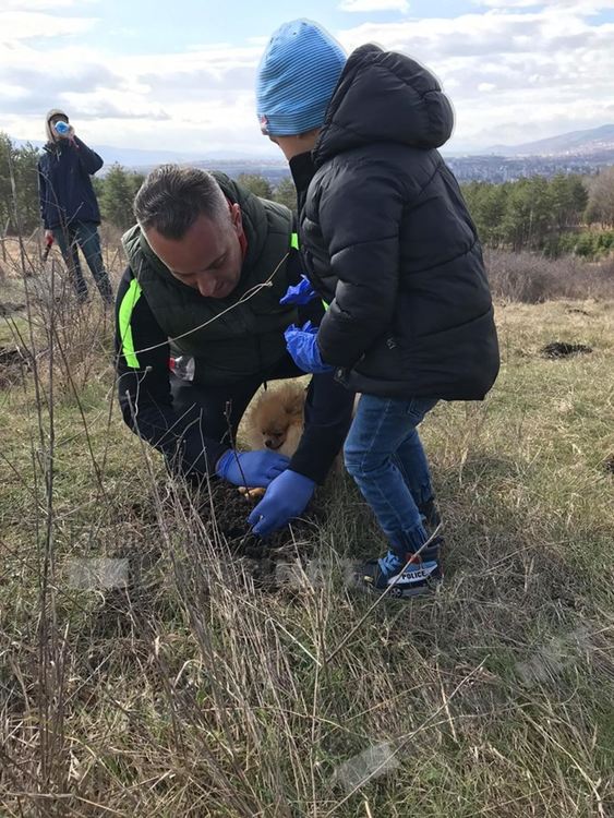 Кърджалийци се отзоваха на призива на Ротаракт,засадиха 1000 дръвчета до Обсерваторията
