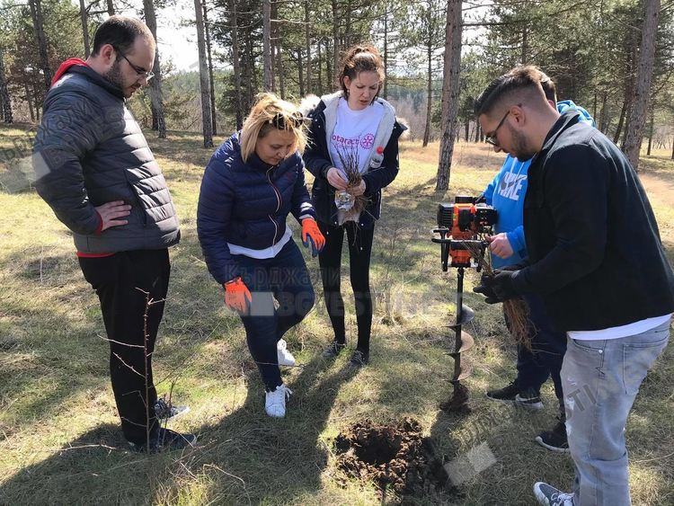 Кърджалийци се отзоваха на призива на Ротаракт,засадиха 1000 дръвчета до Обсерваторията